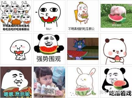 天天吃瓜网络意思,揭秘天天吃瓜背后的网络奥秘