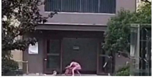 赣榆售楼吃瓜事件始末,一场闹剧背后的真相与反思