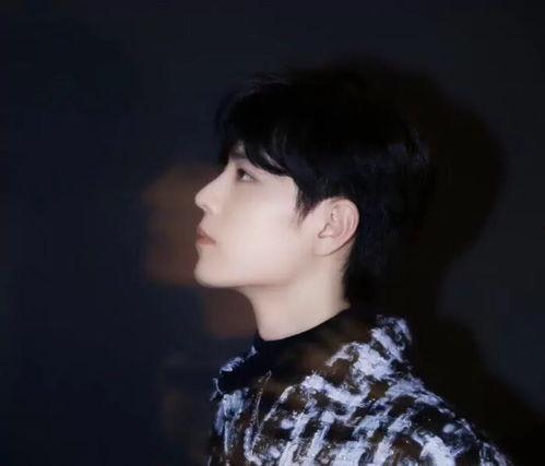 吃瓜男星晚会,吃瓜男星齐聚晚会盛典