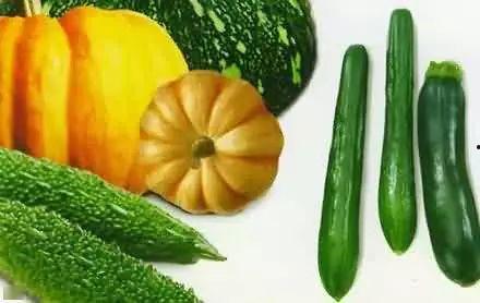 吃瓜渔夫,网络红人的崛起与影响力