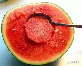 户外吃瓜勺,创意吃瓜勺，轻松享受夏日清凉时光