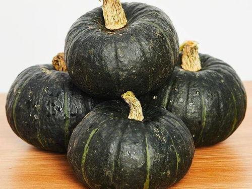 吃贝贝瓜声控,揭秘贝贝瓜的独特魅力