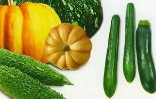 圆月吃瓜,一场别开生面的夏日盛宴