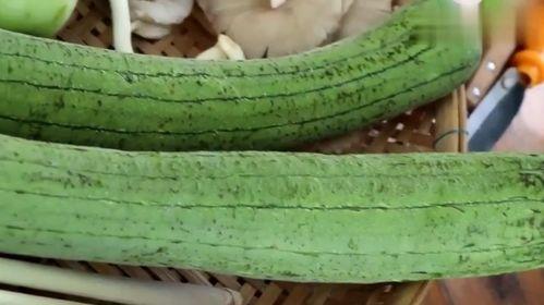 美女吃生瓜视频