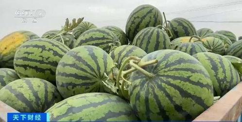 熙华吃瓜,揭秘娱乐圈幕后故事